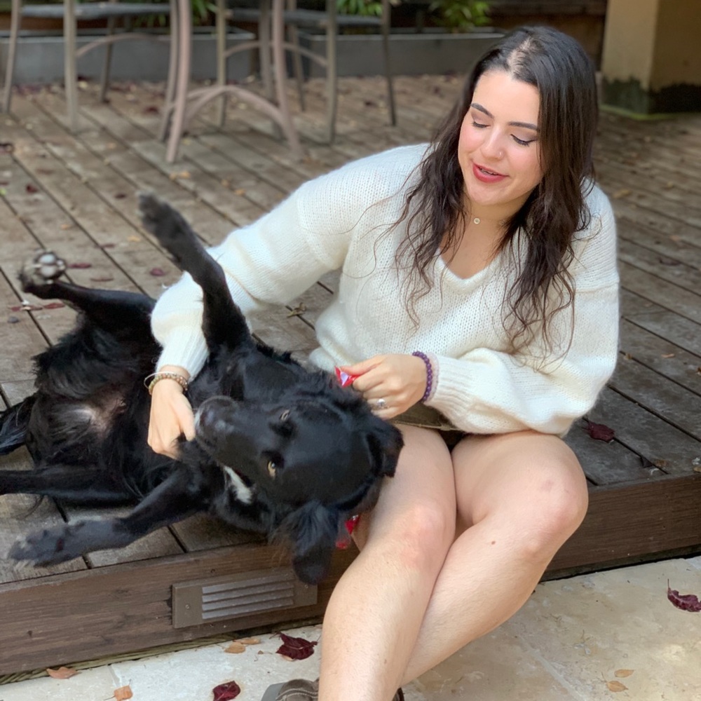 Madewell Classic White V-Neck Sweater